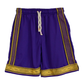 LGNDSNVRDIE Authentic Shorts MEN | MVP Purple