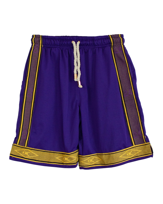LGNDSNVRDIE Authentic Shorts MEN | MVP Purple